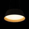10224P Black Подвесной светильник LOFT IT Evans