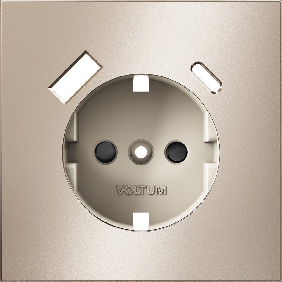 Накладка для розетки с заземлением и защитными шторками, с USB A+C, S70 Metal (платина)