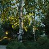 Фасадный поворотный светильник 350° Odeon Light Stima 6648/6WA3