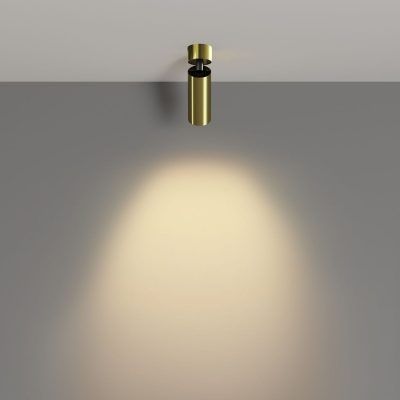 Потолочный светильник Technical C055CL-L12W2.7K-W-BS