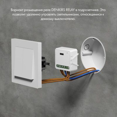 Wi-Fi реле Denkirs Relay RL1001-SM