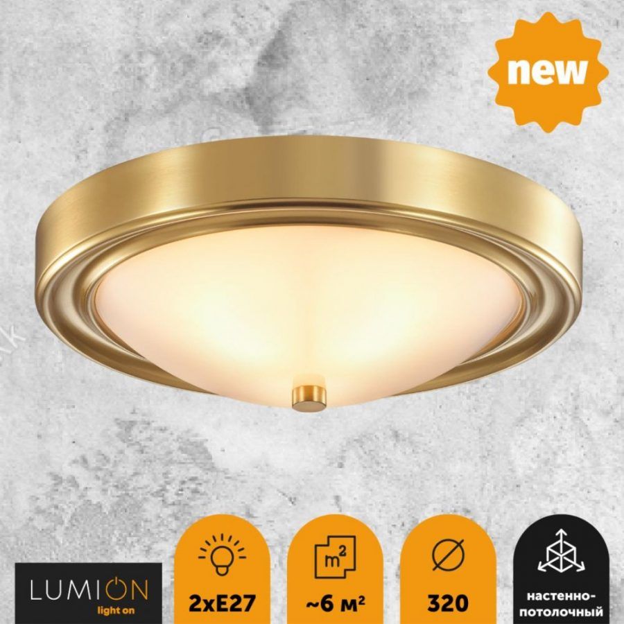 Настенно-потолочный светильник Lumion Nina 5259/2C