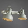 Спот Arte Lamp MARTIN A5213AP-2WG